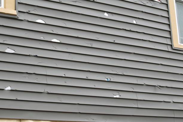 Best Custom Trim and Detailing for Siding  in Roscoe, IL