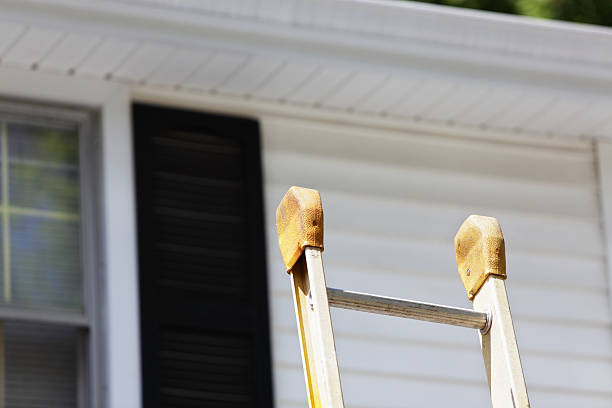 Best Composite Siding  in Roscoe, IL